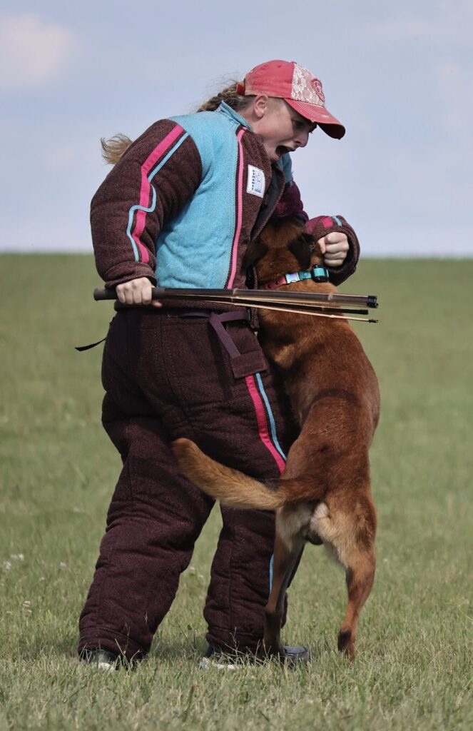 Protection dog decoy and helper working with a trained protection dog during hands-on decoy training in Central Indiana with Indy Fur Missiles.